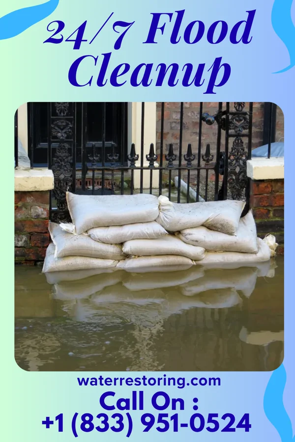 24/7 Flood Cleanup in Dixon, IL