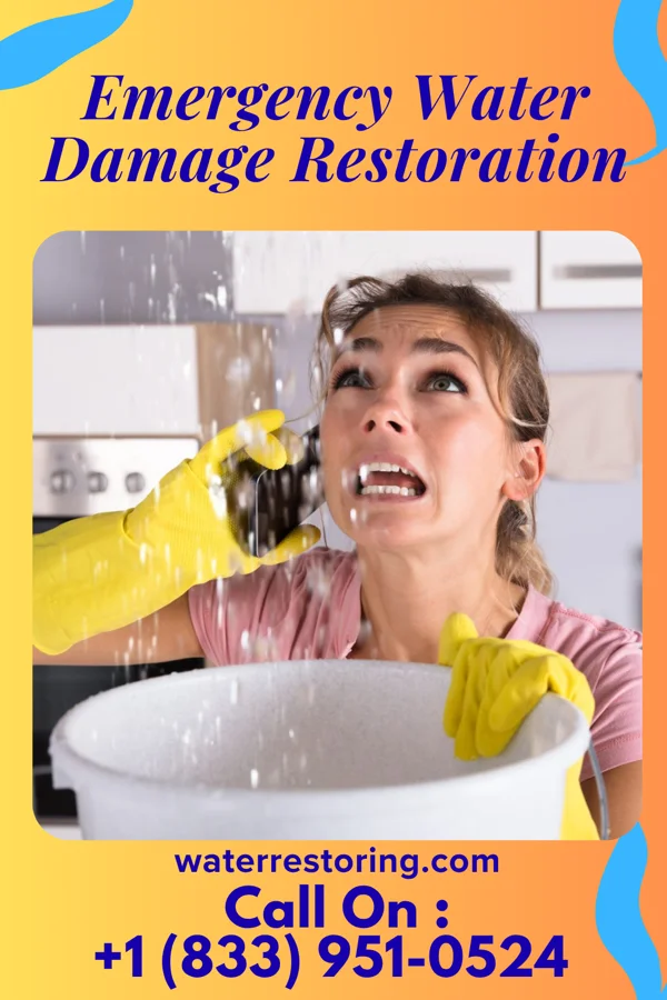 Emergency Water Damage Restoration in Dixon, IL