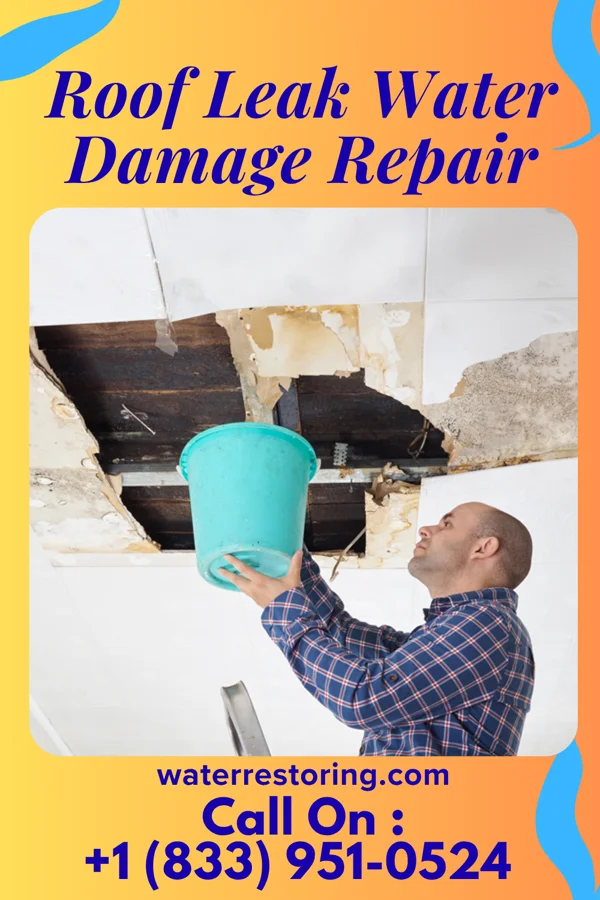 Roof Leak Water Damage Repair in Dixon, IL